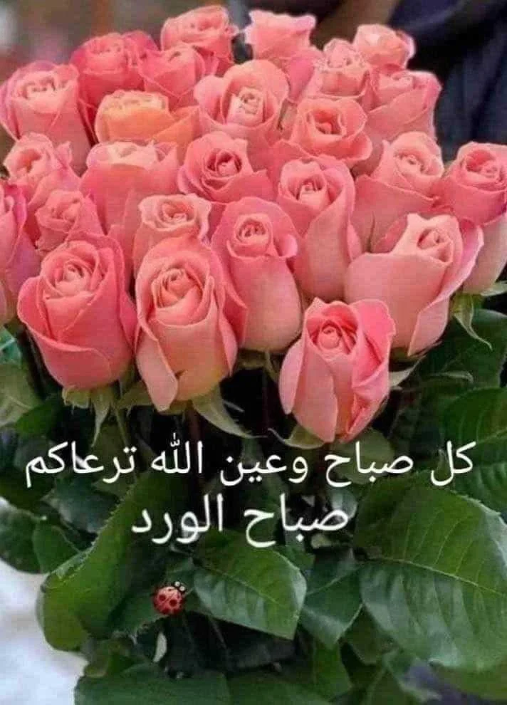 "اعترافٌ طال صمته"